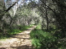 photo thumbnail #1