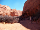 photo thumbnail #5