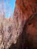 photo thumbnail #10