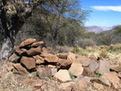 photo thumbnail #3