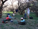 photo thumbnail #6