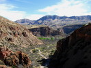 photo thumbnail #8