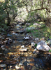 photo thumbnail #15