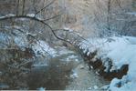 photo thumbnail #14