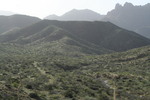 photo thumbnail #7