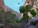 photo thumbnail #15