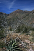photo thumbnail #11
