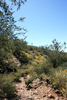 photo thumbnail #15
