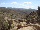 photo thumbnail #14