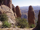 photo thumbnail #2