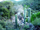 photo thumbnail #14