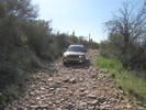 photo thumbnail #2