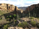 photo thumbnail #4