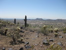 photo thumbnail #8