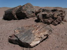 photo thumbnail #8