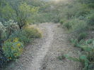 photo thumbnail #1