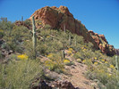 photo thumbnail #4