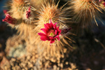 photo thumbnail #8