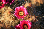 photo thumbnail #10