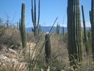 photo thumbnail #1