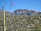 photo thumbnail #2