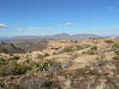 photo thumbnail #2