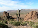 photo thumbnail #1