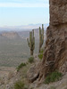 photo thumbnail #8