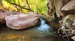 photo thumbnail #1