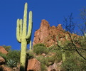 photo thumbnail #10