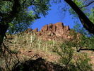 photo thumbnail #11