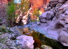 photo thumbnail #13
