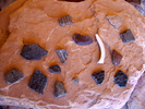 photo thumbnail #15