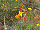 photo thumbnail #12