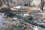 photo thumbnail #3