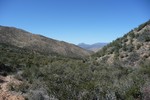 photo thumbnail #13