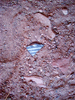 photo thumbnail #14