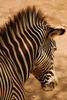 photo thumbnail #13
