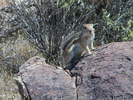 photo thumbnail #3