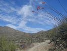photo thumbnail #1