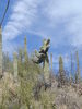 photo thumbnail #4