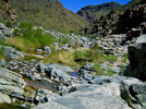 photo thumbnail #5