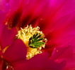 photo thumbnail #13