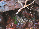 photo thumbnail #12