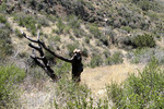photo thumbnail #6
