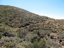photo thumbnail #9