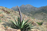 photo thumbnail #15