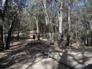 photo thumbnail #9