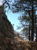 photo thumbnail #11