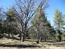 photo thumbnail #7